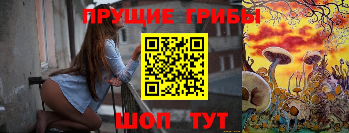 Псилоцибиновые грибы мицелий  Псилоцибиновые грибы GOLDEN TEACHER  Вход с VPN  Ноябрьск 